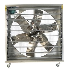 Albayair Egzos Fan 100*100